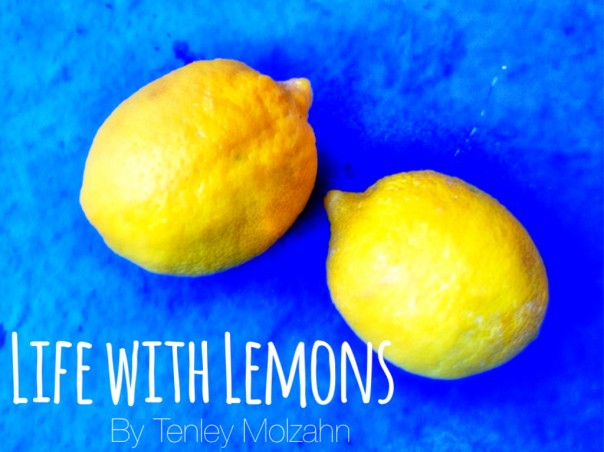 Life With Lemons 2