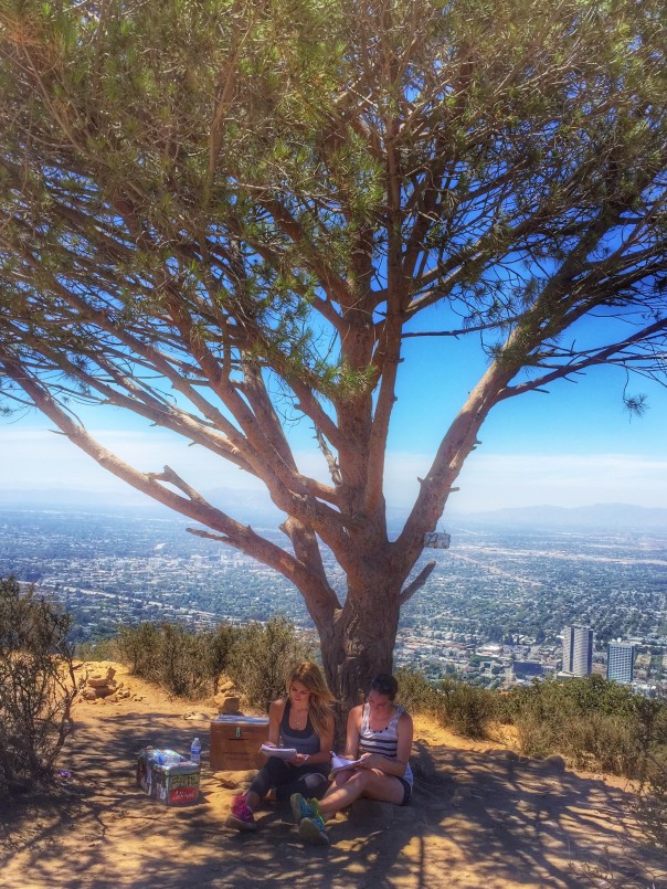 Wisdom Tree